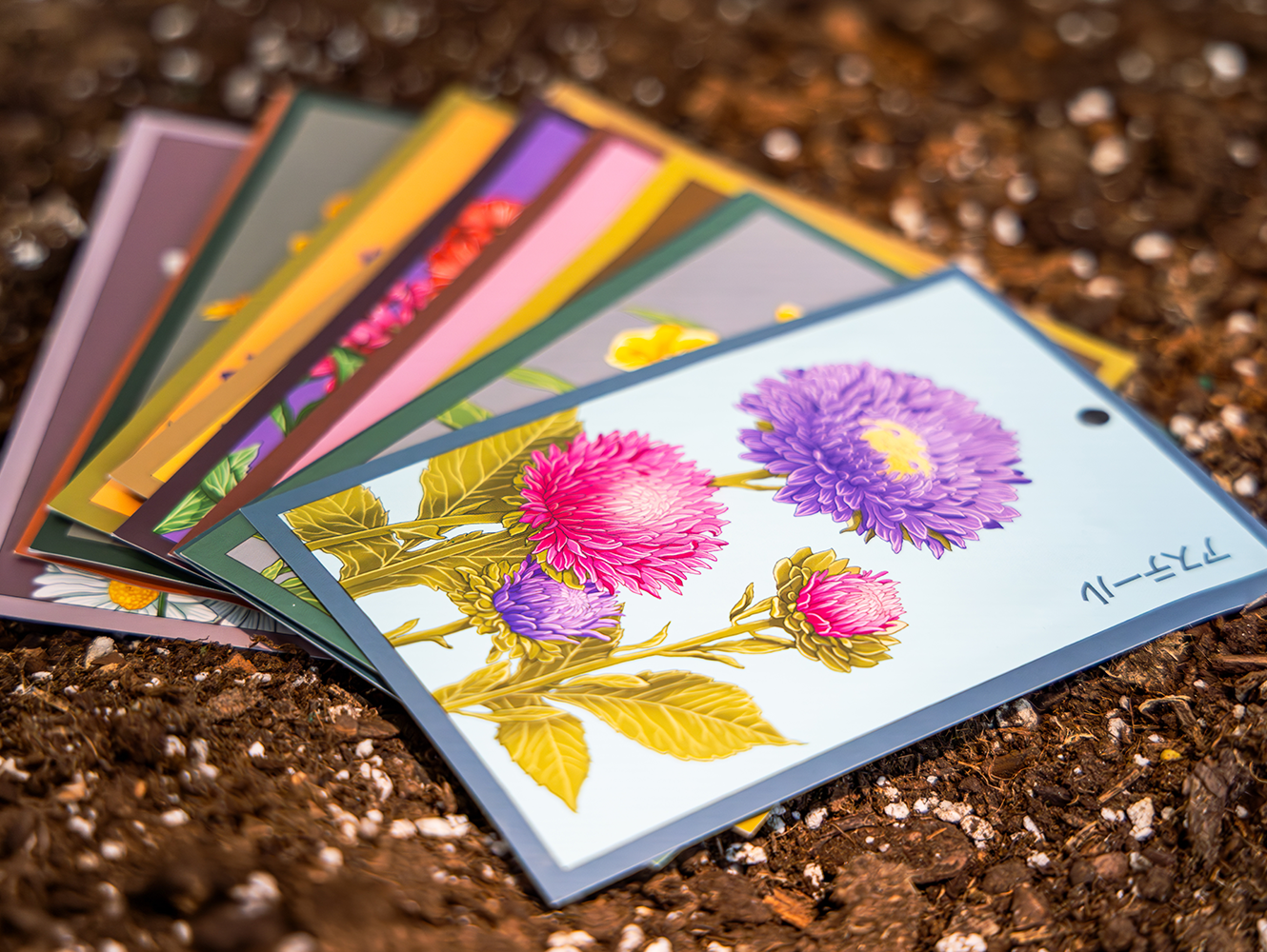 Do Seeds Expire? How Long Do Seeds Last - Shido seed packets by Chive Studio