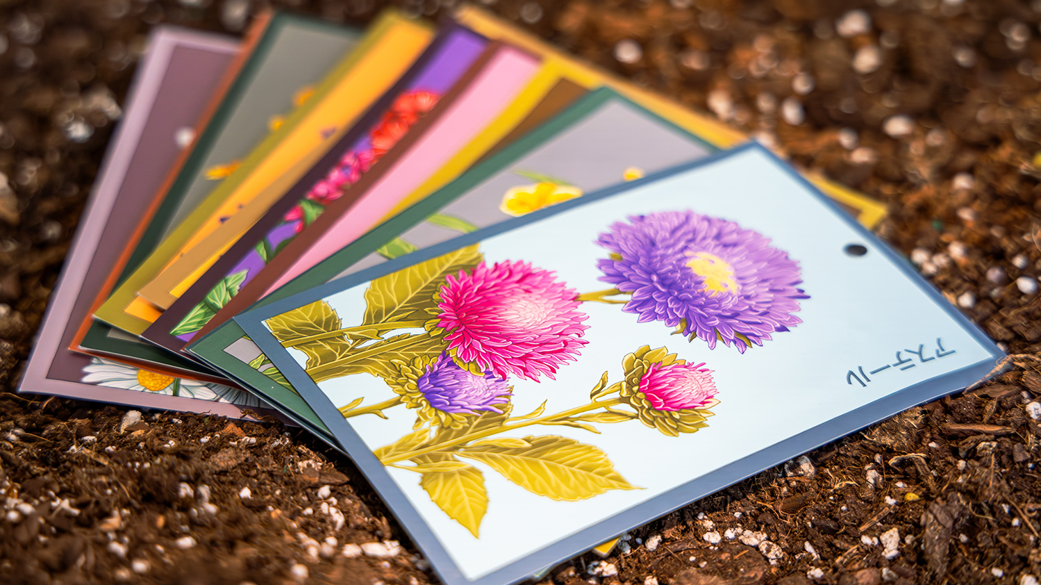 Do Seeds Expire? How Long Do Seeds Last - Shido seed packets by Chive Studio