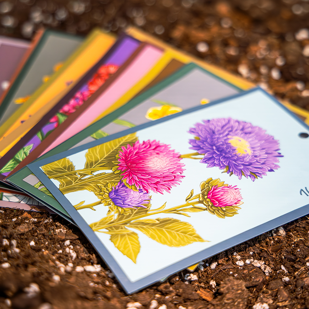 Do Seeds Expire? How Long Do Seeds Last - Shido seed packets by Chive Studio
