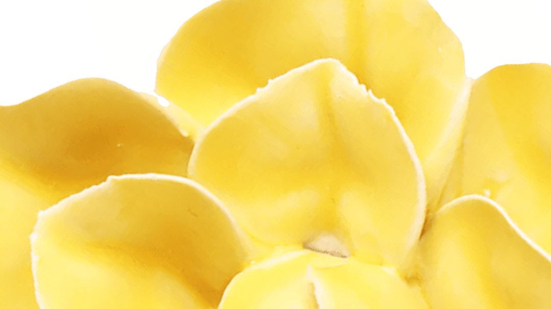 March birth flower: the daffodil in handmade ceramic - Chive Studio