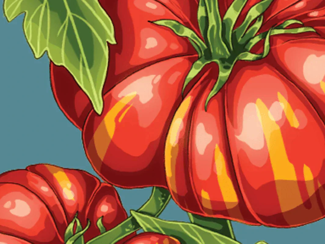 Heirloom vs Hybrid Seeds: What Actually Differs, Shido, Chive Studio