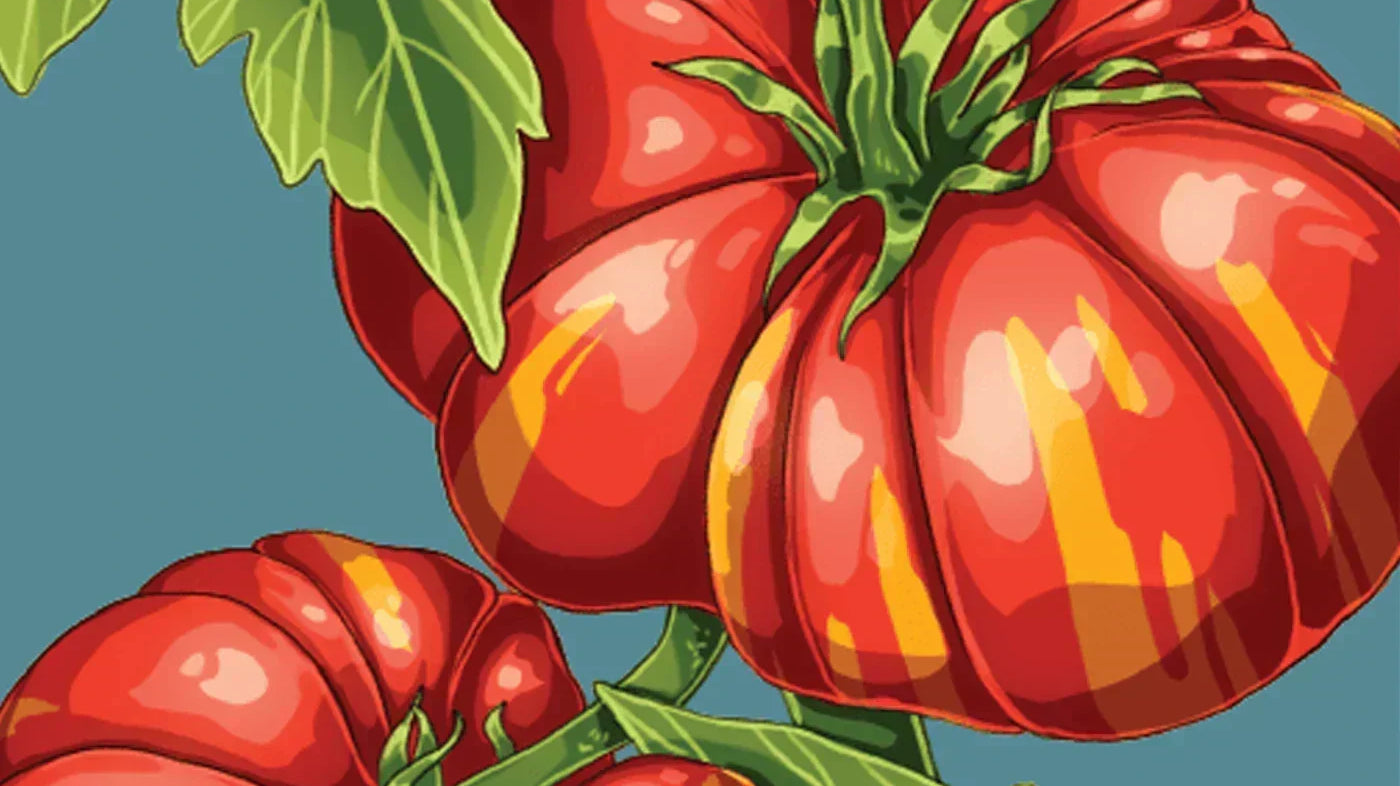 Heirloom vs Hybrid Seeds: What Actually Differs, Shido, Chive Studio