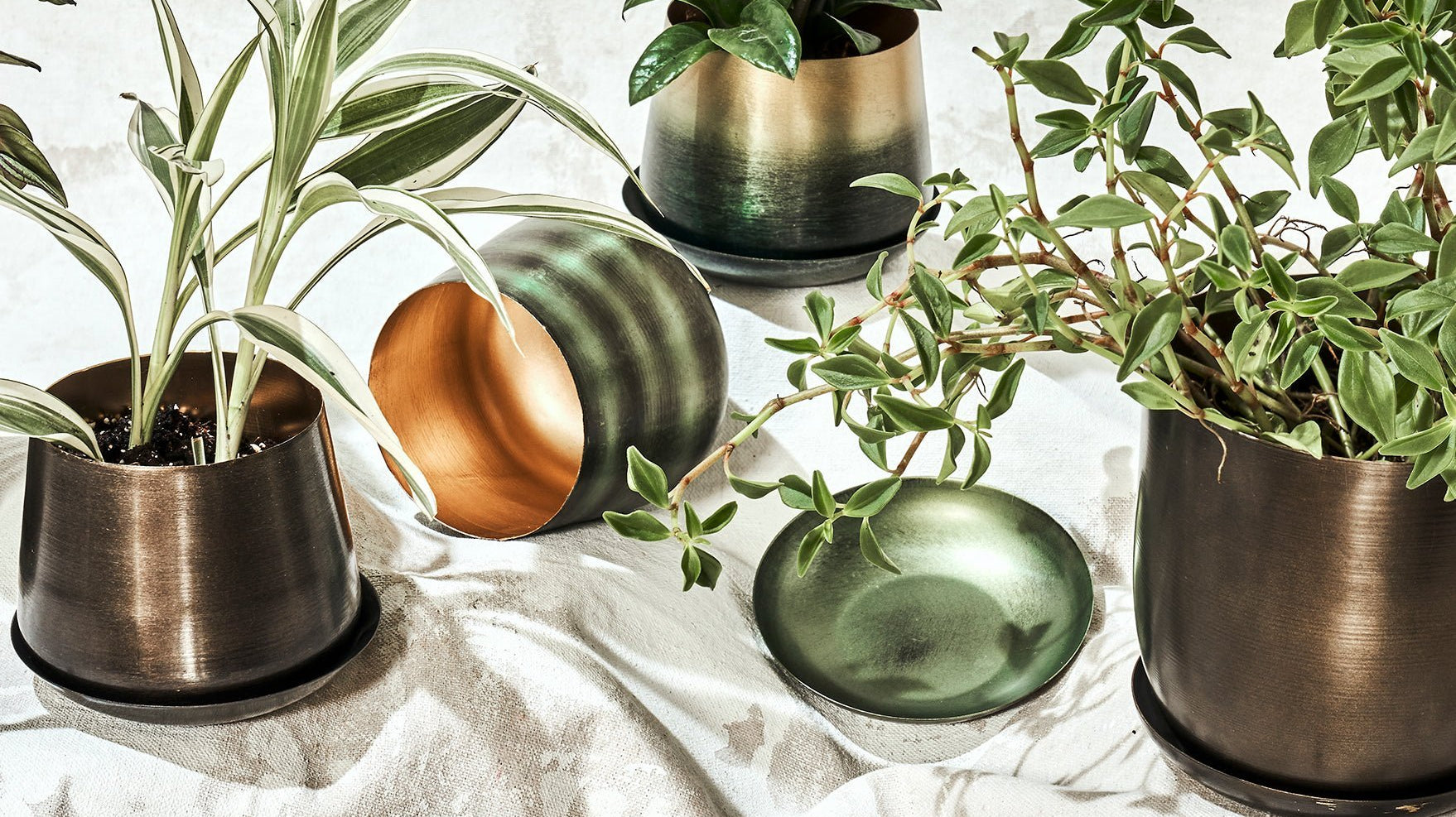 Will A Rusty Pot Kill a Plant? - Chive Ceramics Studio