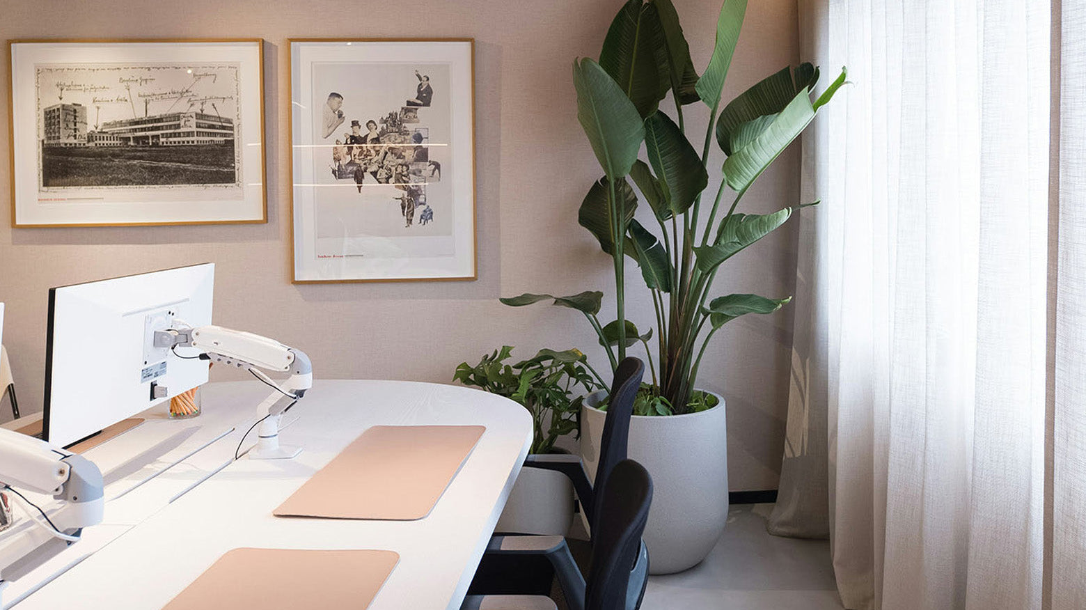 Modern office space with a large Bird of Paradise plant and desk setup - Chive Studio