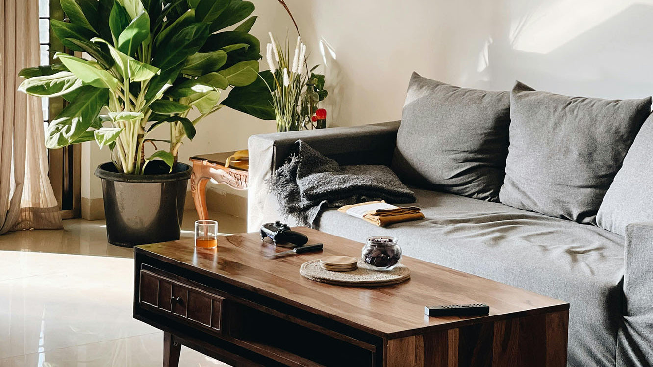 Best low light plants by room — Chive Studio, Toronto