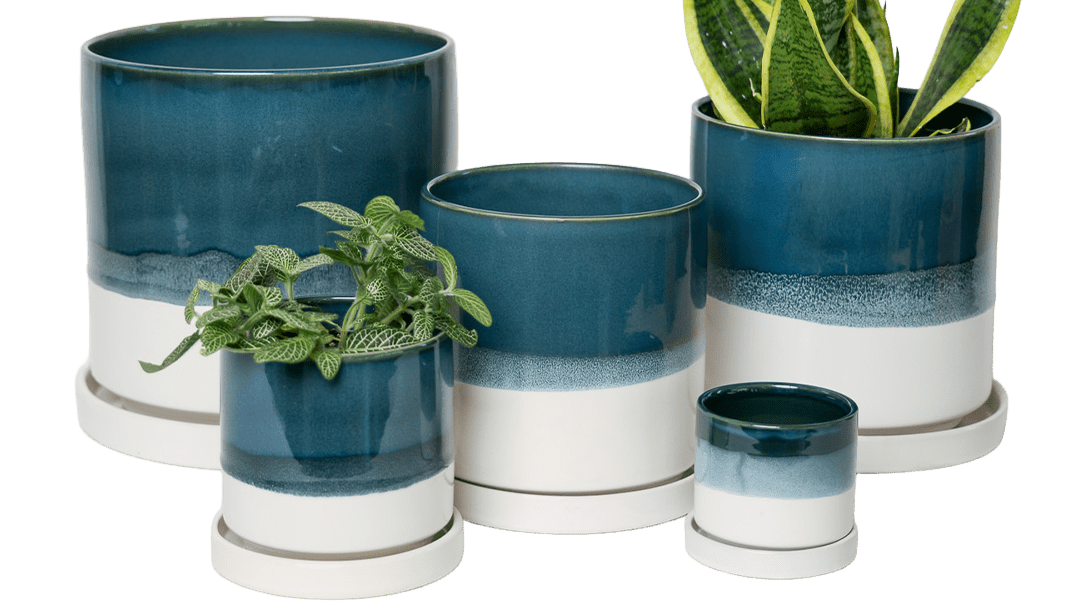 How to measure a plant pot
