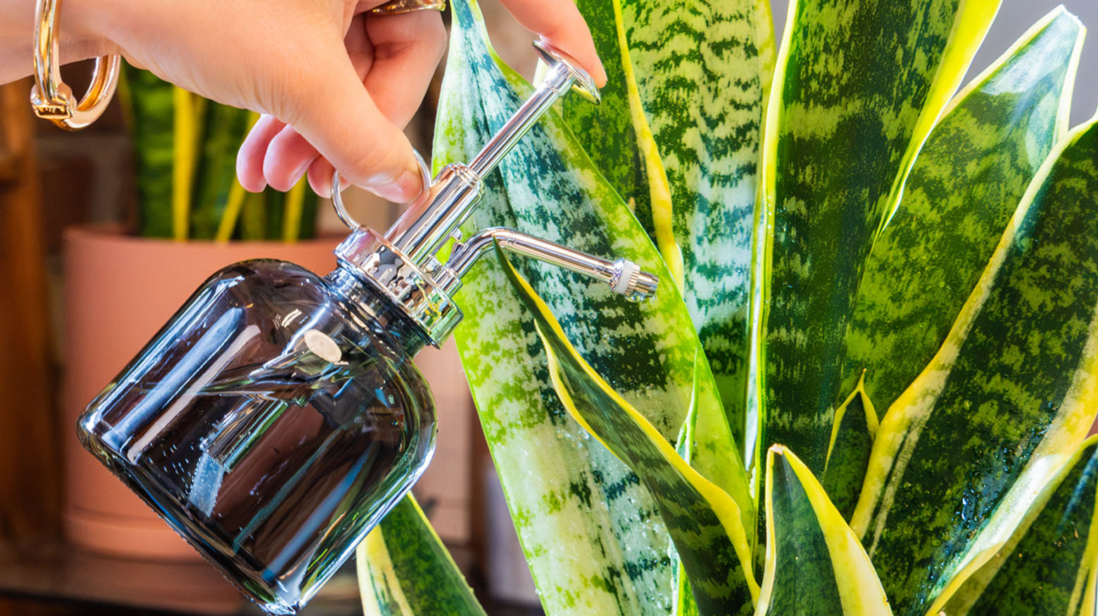 A hand holding a Chive Studio Mr Mister black glass plant spray bottle, watering a green plant.