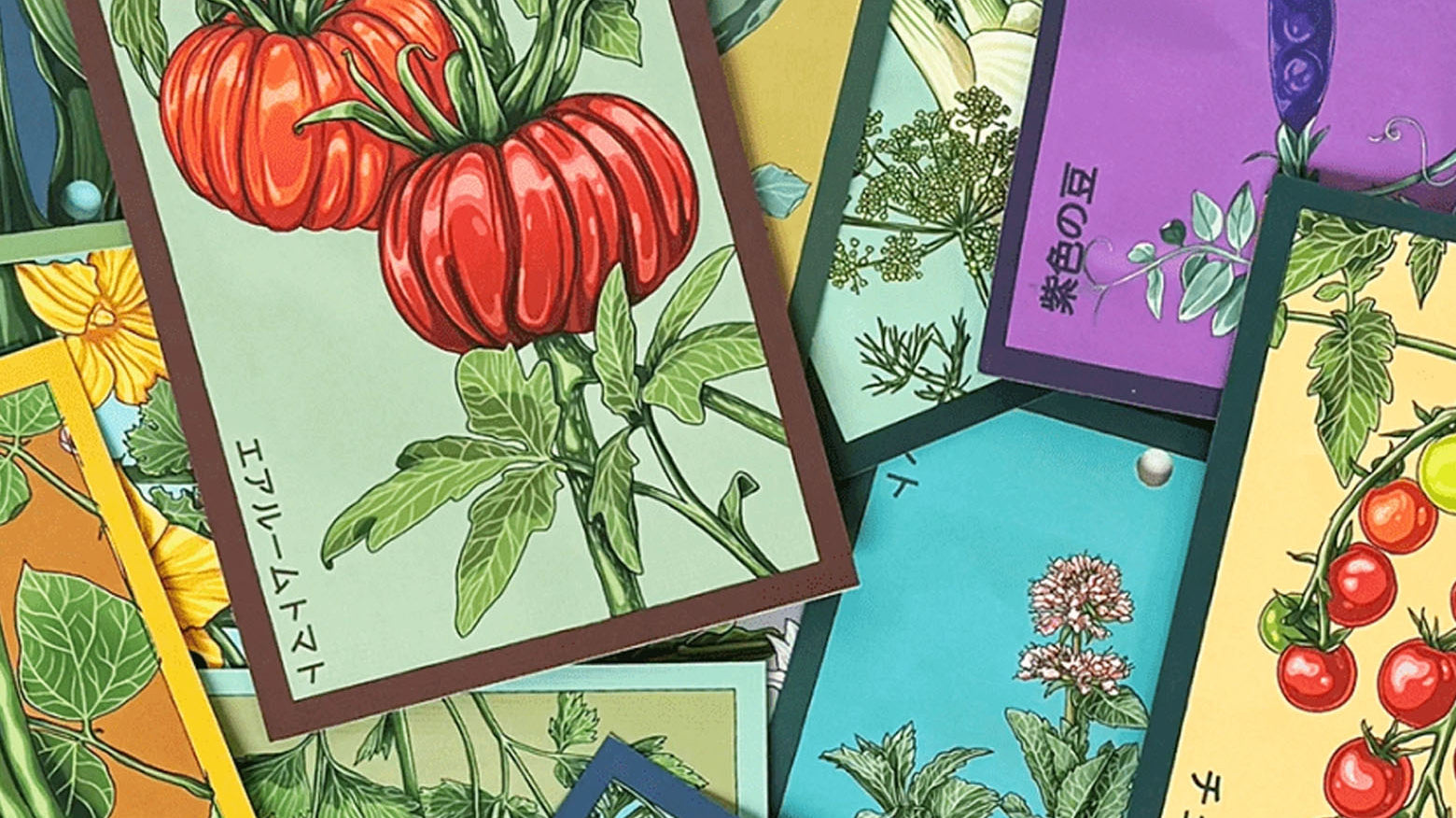 Shido seed packets for vegetable and floral category, by Chive Studio