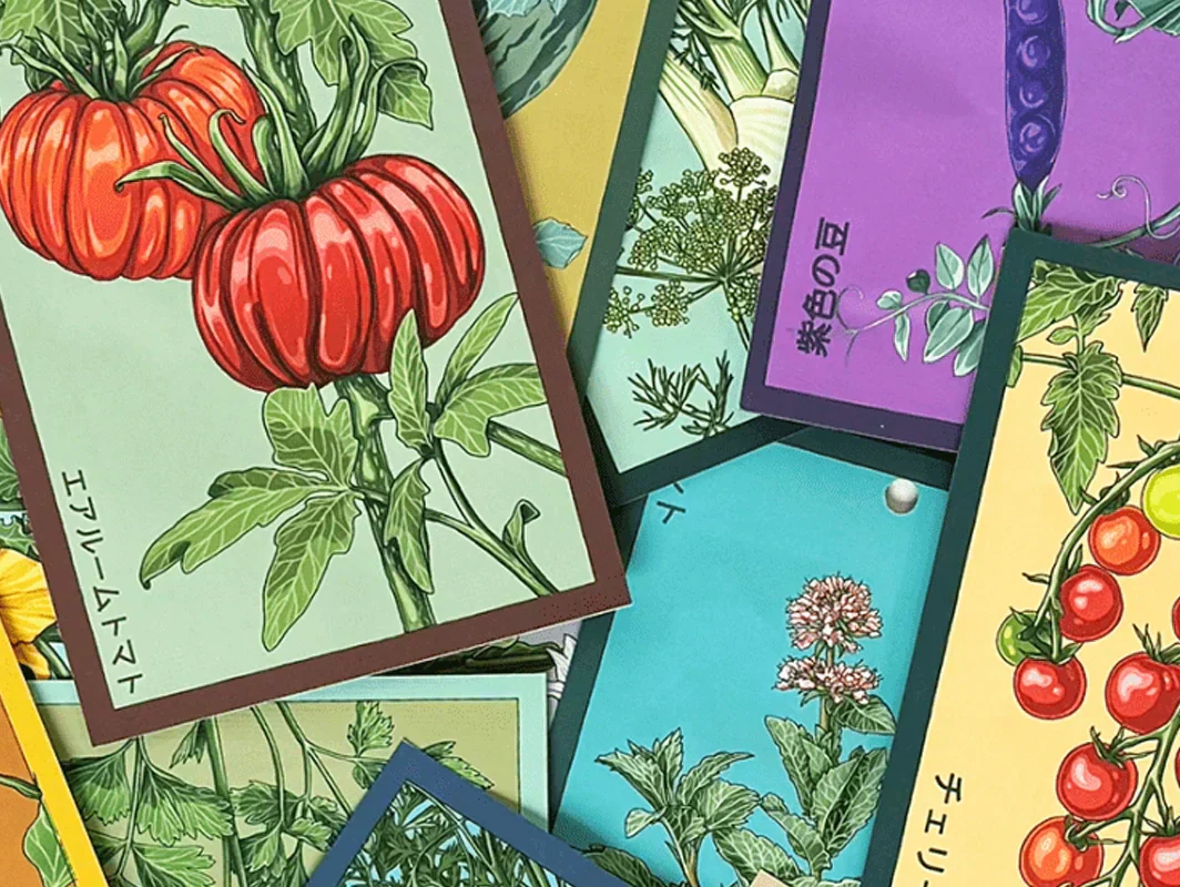 Are Seed Packets GMO? The Honest Answer - Shido