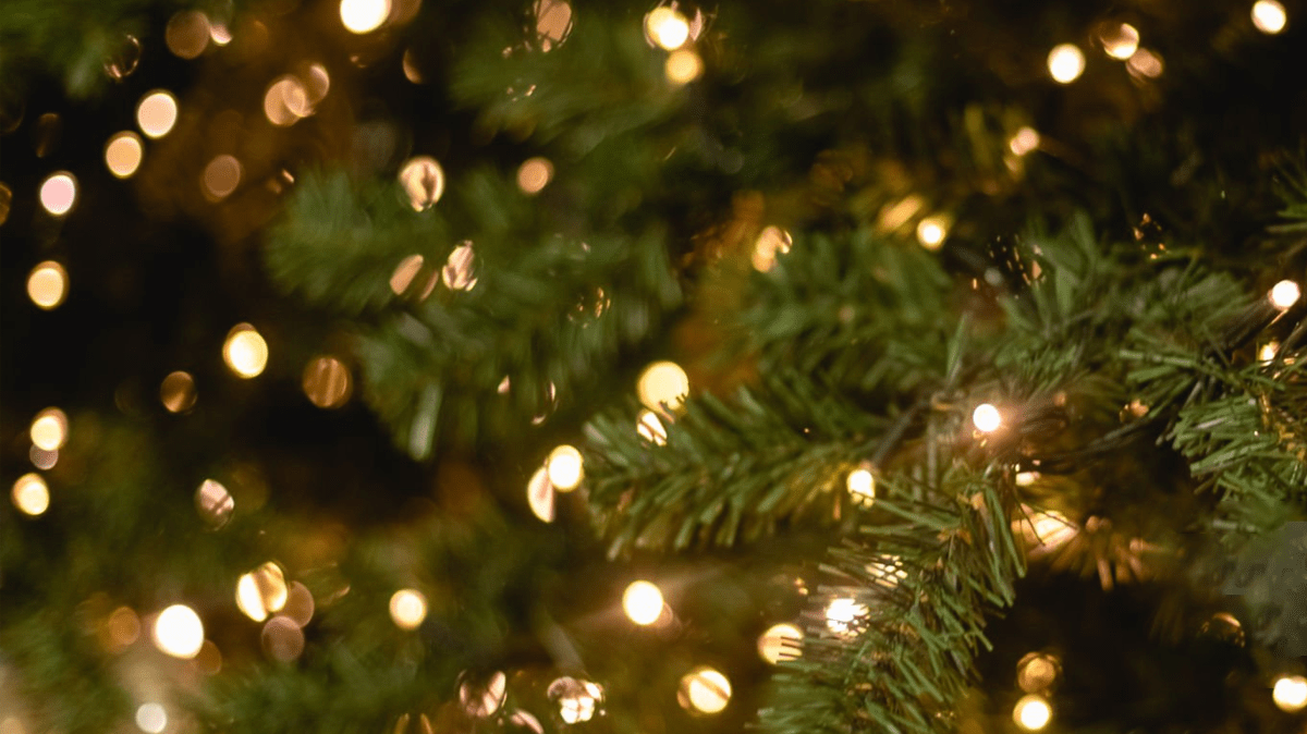 Dog Lover Christmas Ornaments - Pet Holiday Tree Decorations - Chive Ceramics Studio