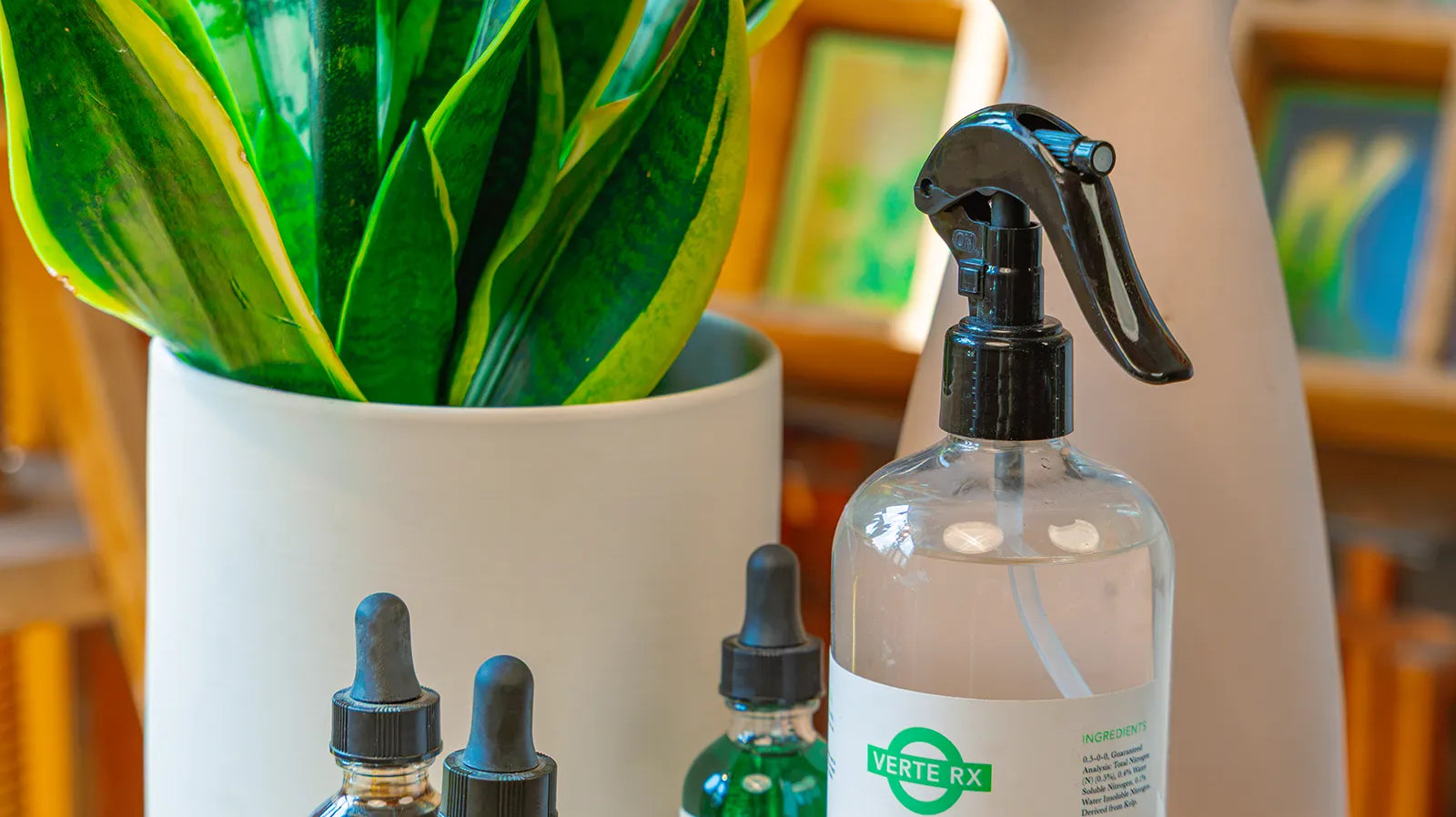 How Often to Fertilize Houseplants - Chive Studio