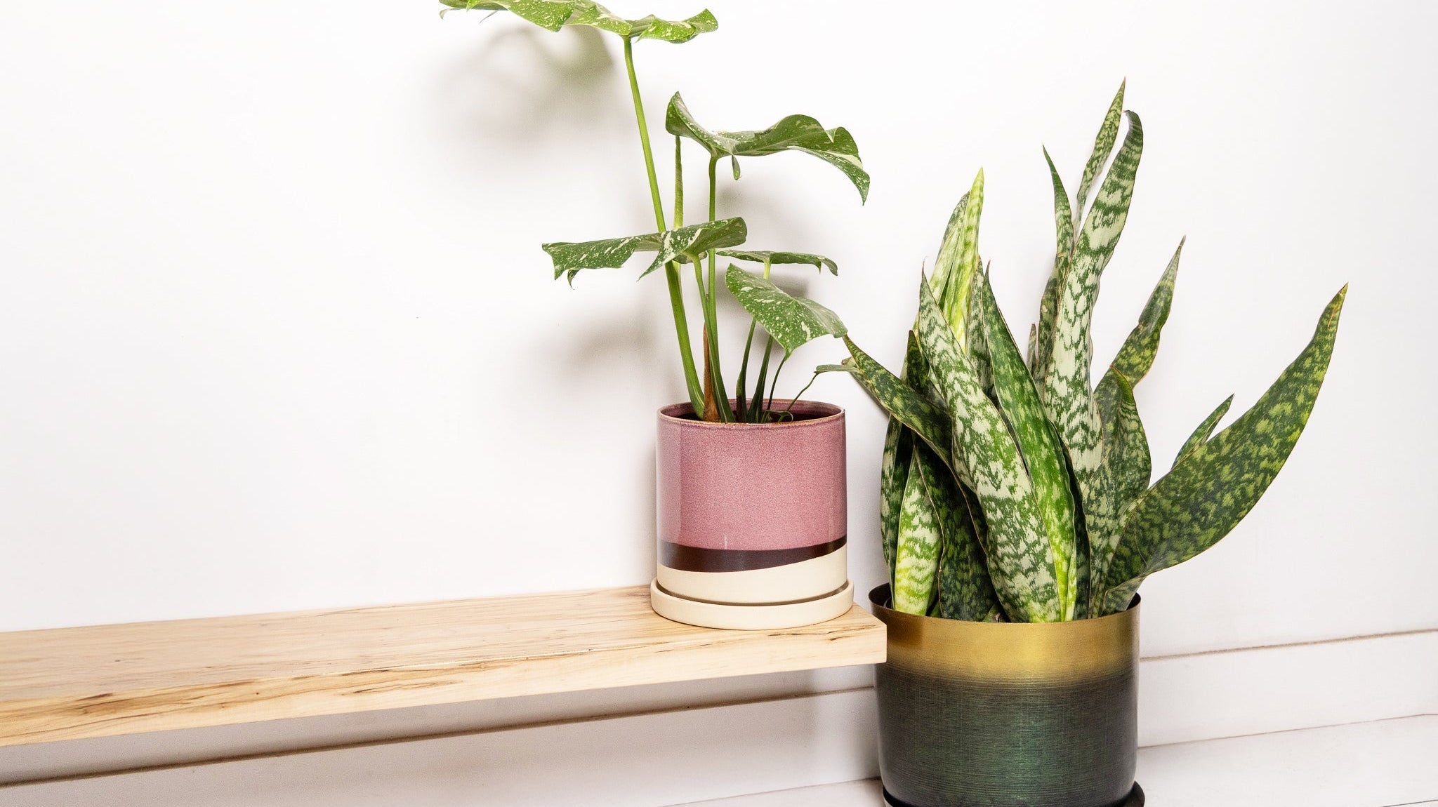 Indoor Plant Pots - Chive Ceramics Studio