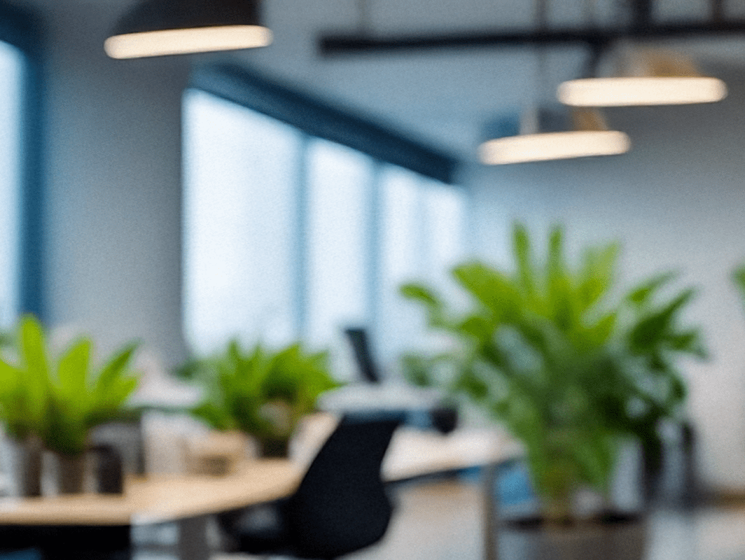 Large Plants for the Office - Chive Ceramics Studio