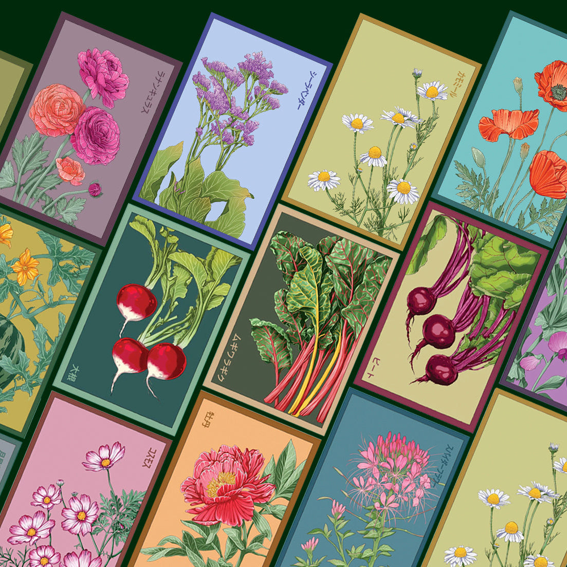 Shido seed packets for vegetable and floral category, by chive studio