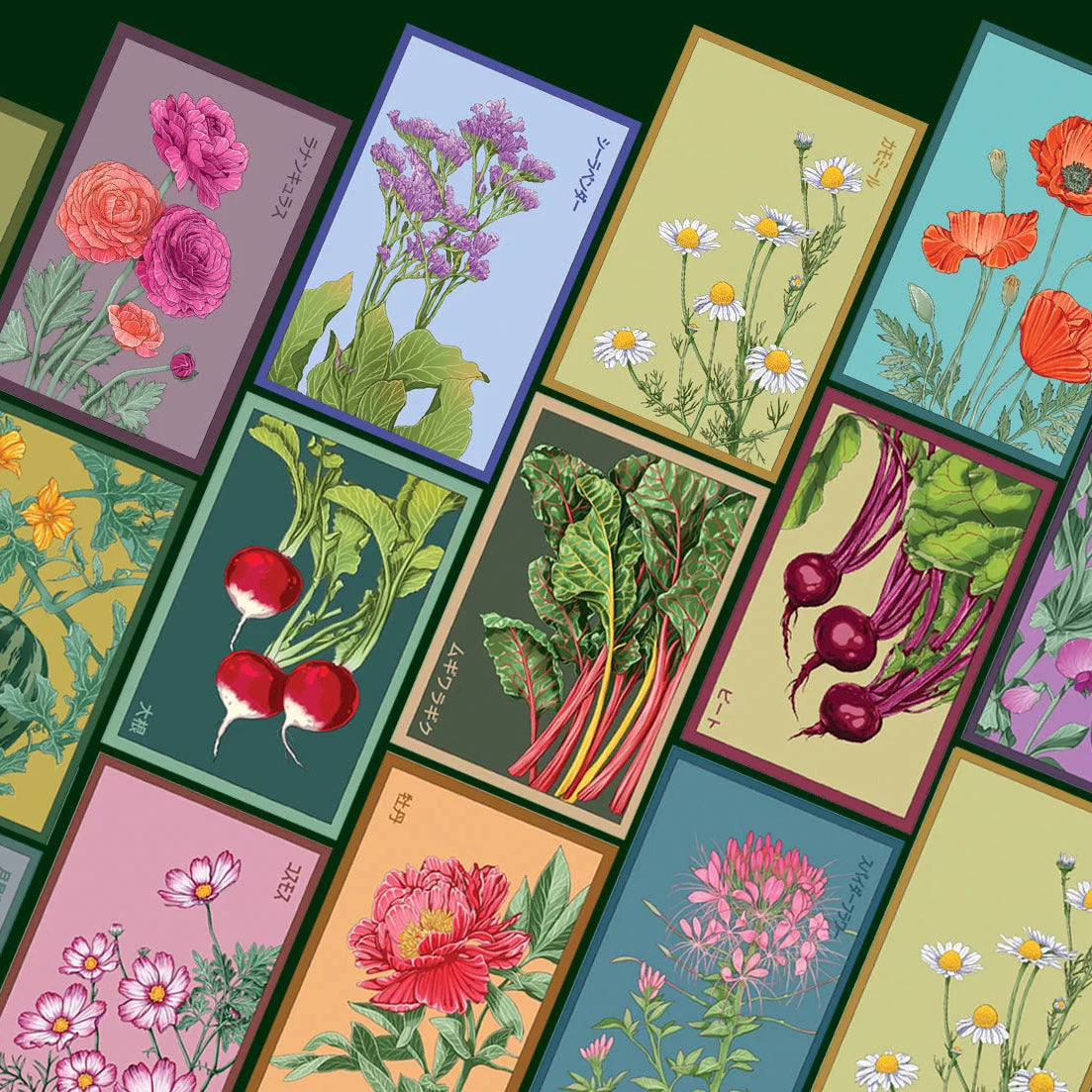 Shido seed packets for vegetable and floral category, by chive studio