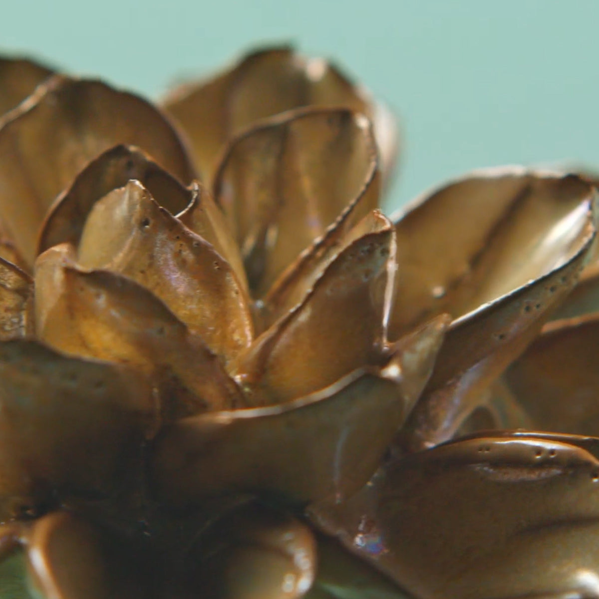Brown, Beige Ceramic Flowers - Chive Ceramics Studio
