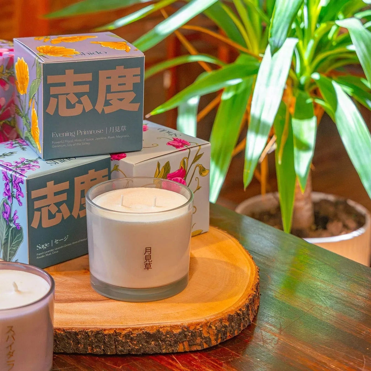Shido Candles - Chive Ceramics Studio