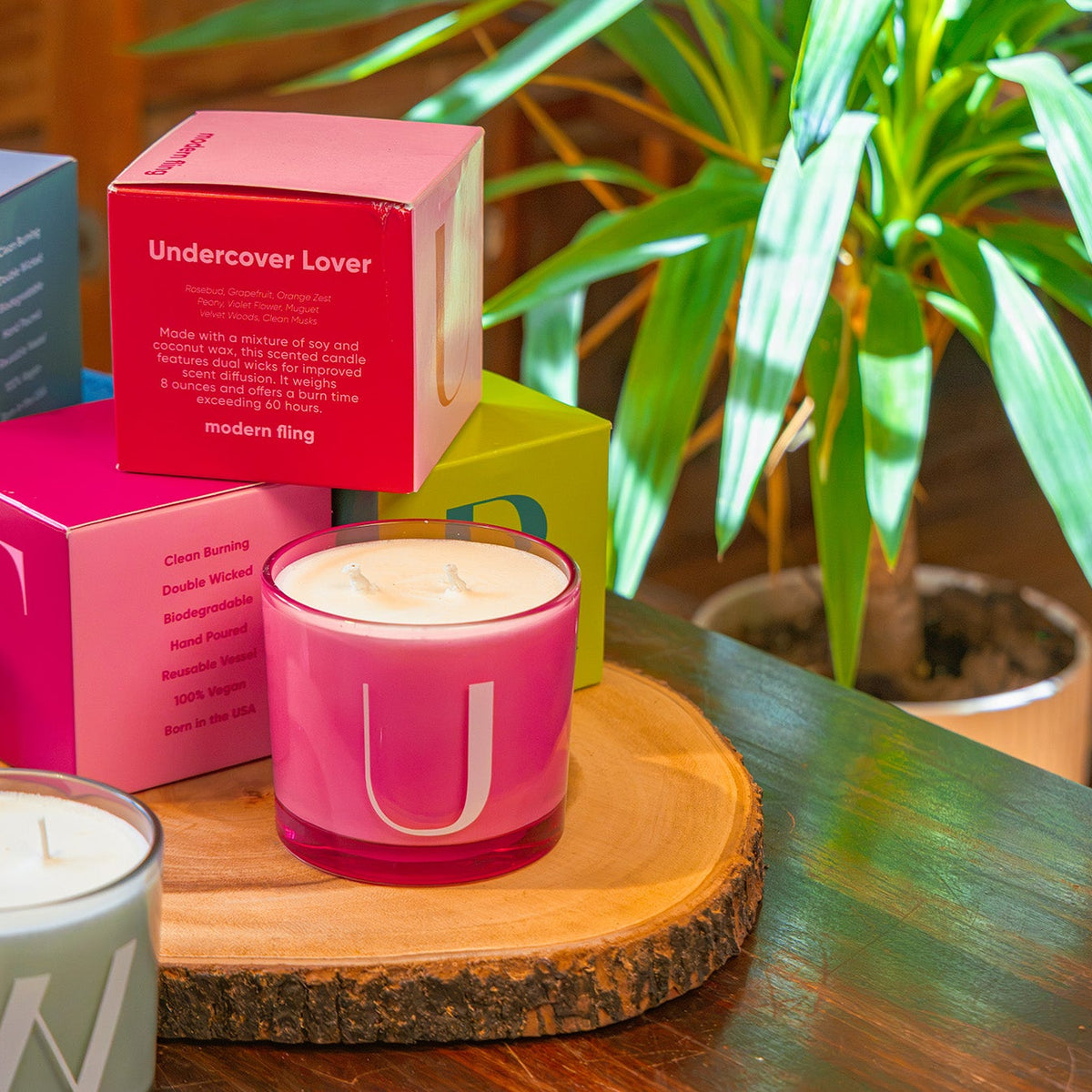 Modern Fling — Soy Candles by Chive Studio