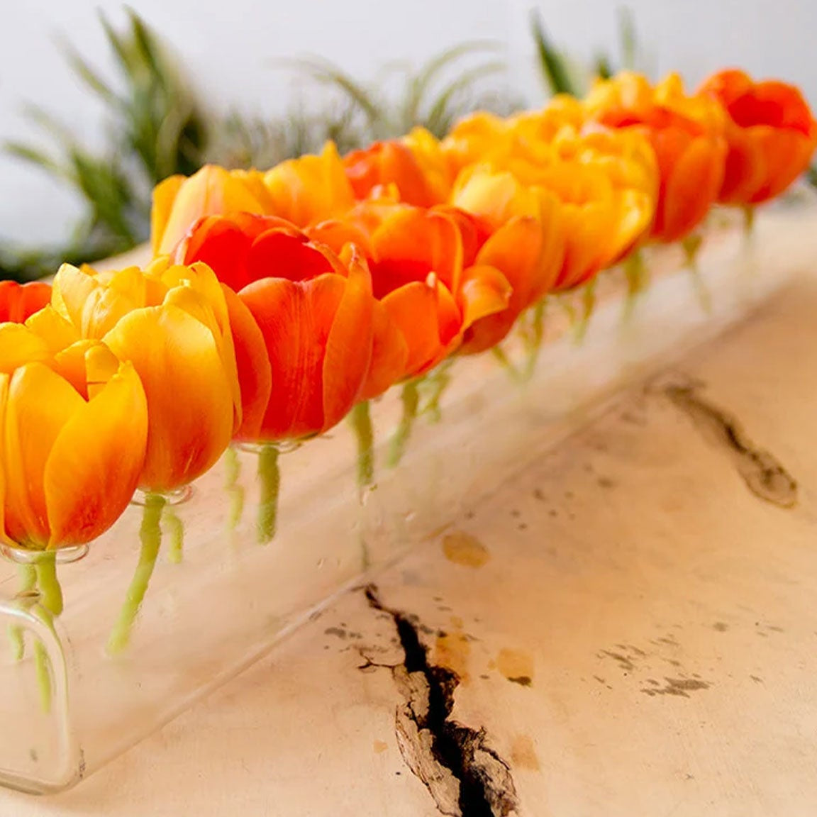 Vases from Chive Studio in glass and ceramic, grouped together with fresh flowers