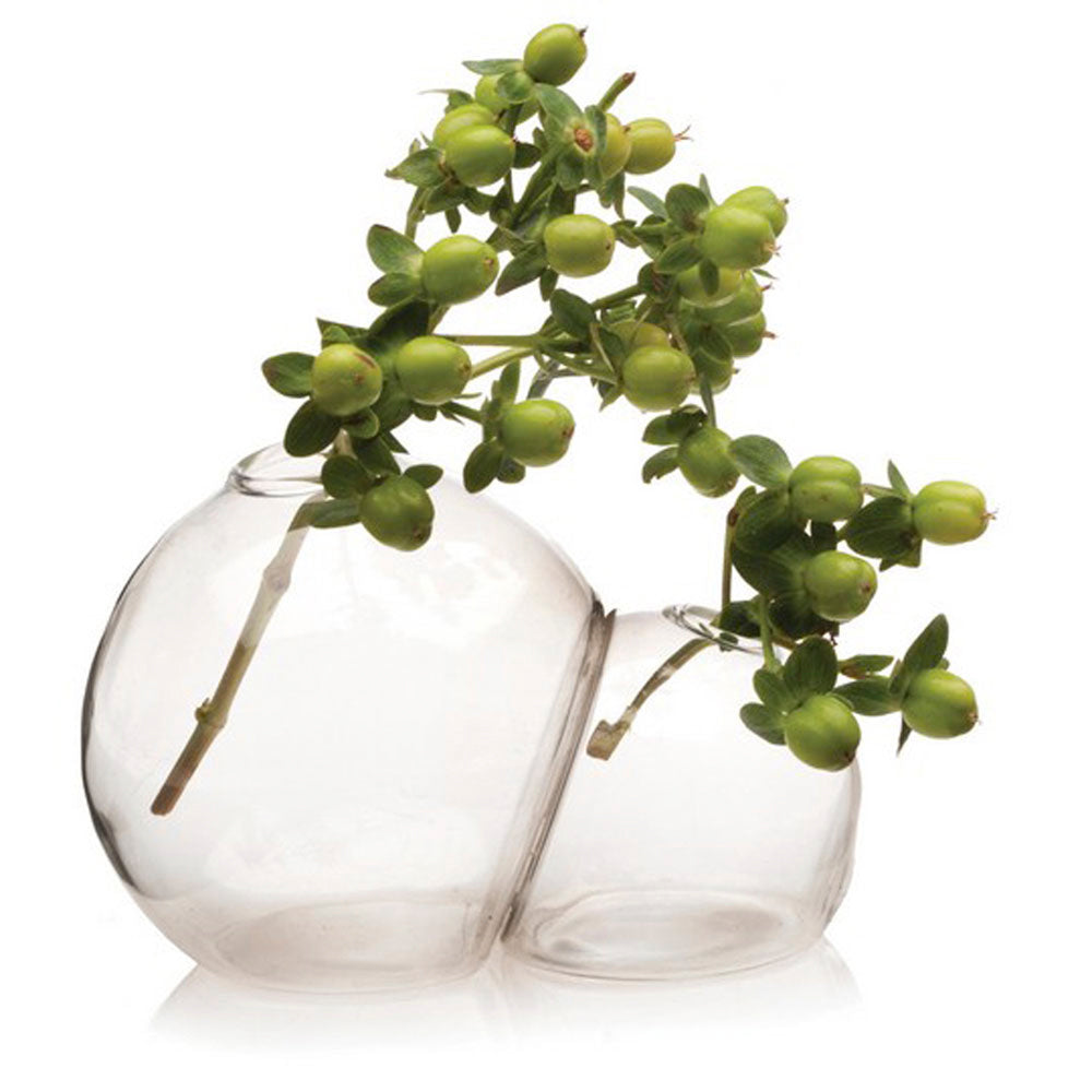 Modern Glass Double Bubble Vase for Flowers