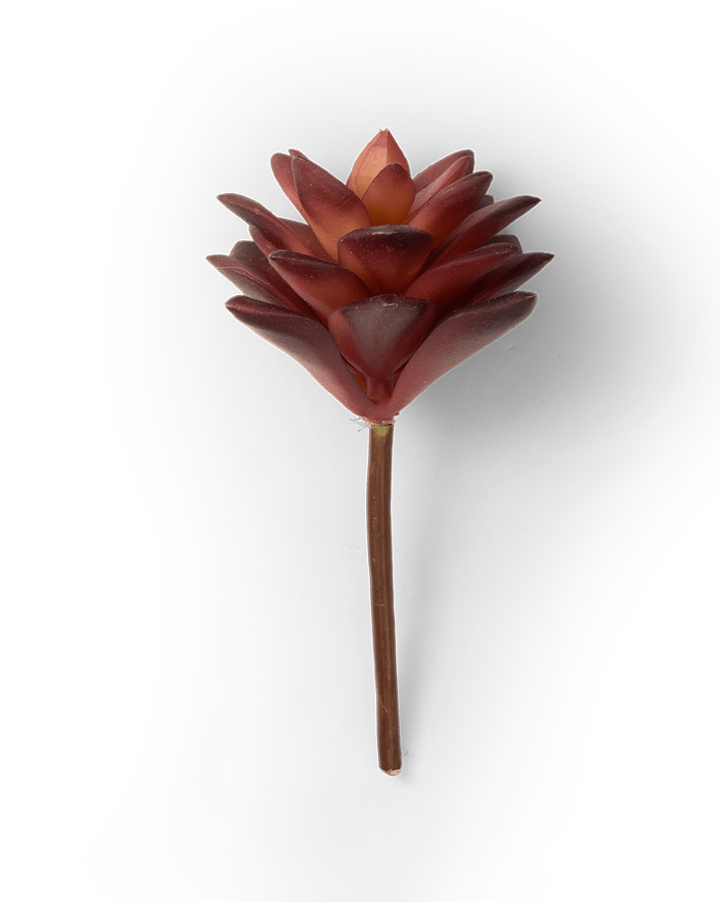 Premium Artificial Succulents - Lifelike Botanical Decor - Chive Ceramics Studio - Chive US Wholesale