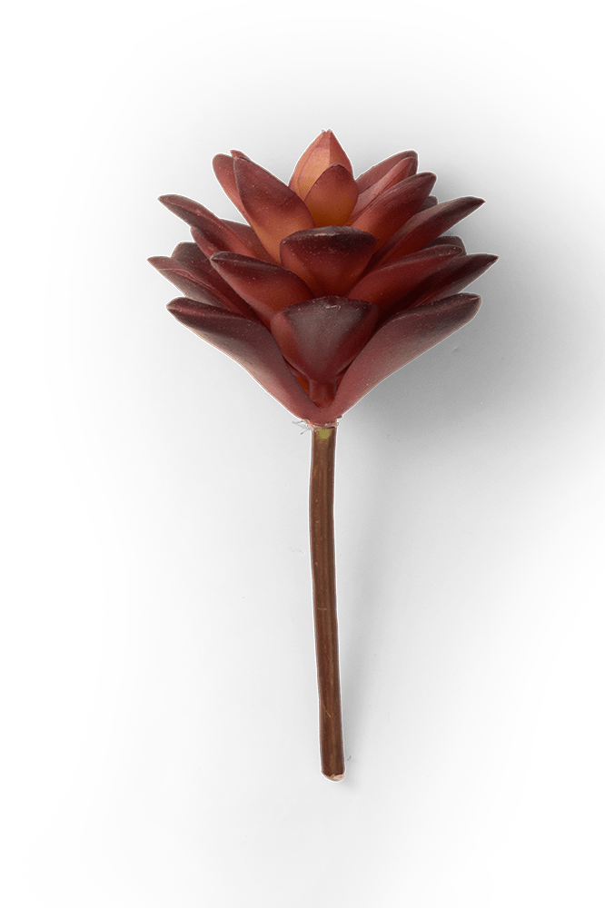 Premium Artificial Succulents - Lifelike Botanical Decor - Chive Ceramics Studio - Chive US Wholesale