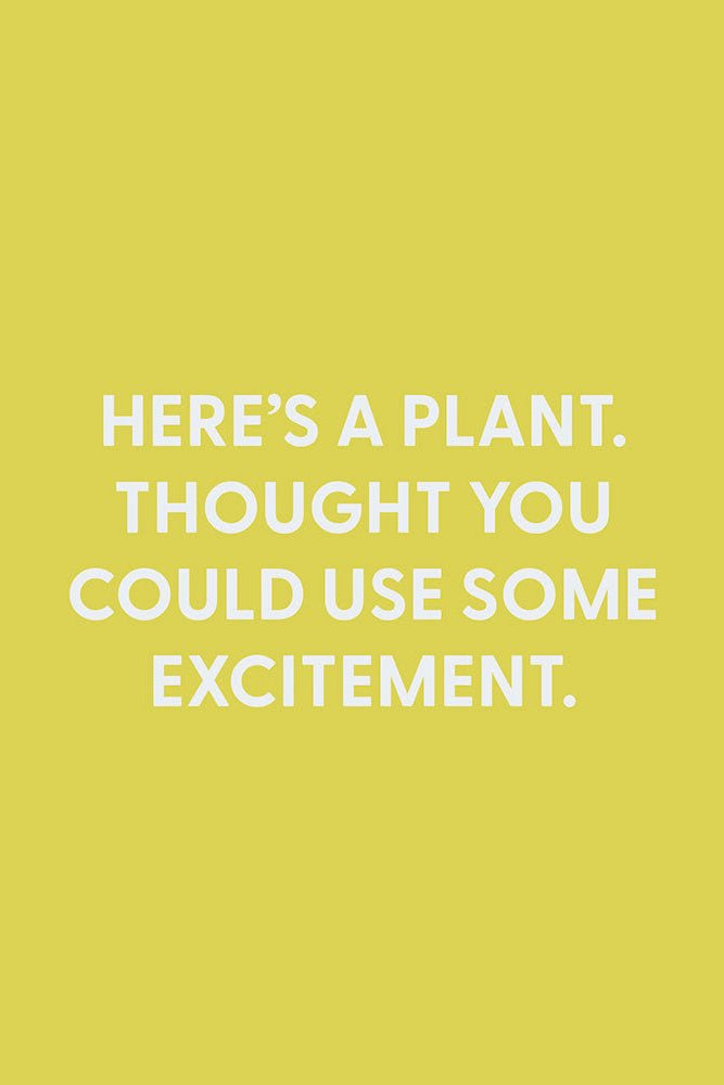Here’s a plant. Thought you could use some excitement. - Greeting Card - Chive Ceramics Studio - Cards - Chive Ceramics Studio