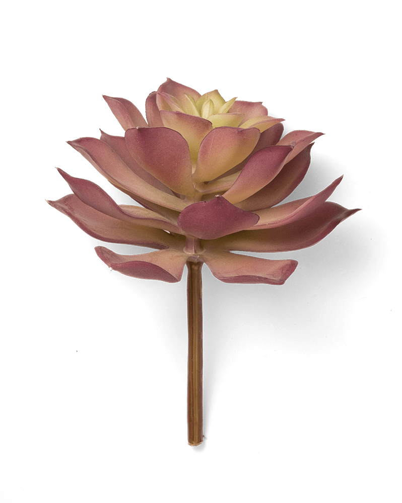 Premium Artificial Succulents - Lifelike Botanical Decor - Chive Ceramics Studio - Chive US Wholesale