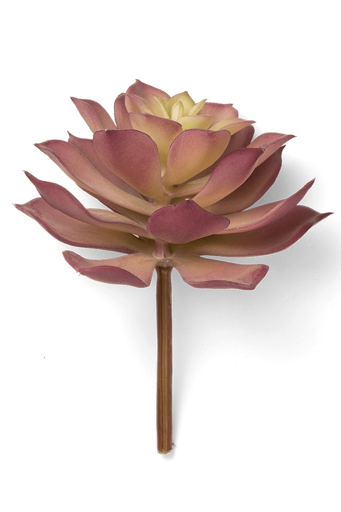 Premium Artificial Succulents - Lifelike Botanical Decor - Chive Ceramics Studio - Chive US Wholesale