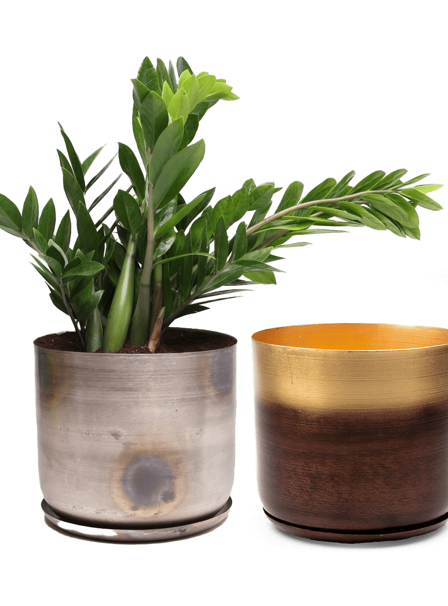 Joe Metal Pot With Drainage Hole | 7, 8, 10 & 12 inches - Chive Ceramics Studio - Pots - Chive Ceramics Studio