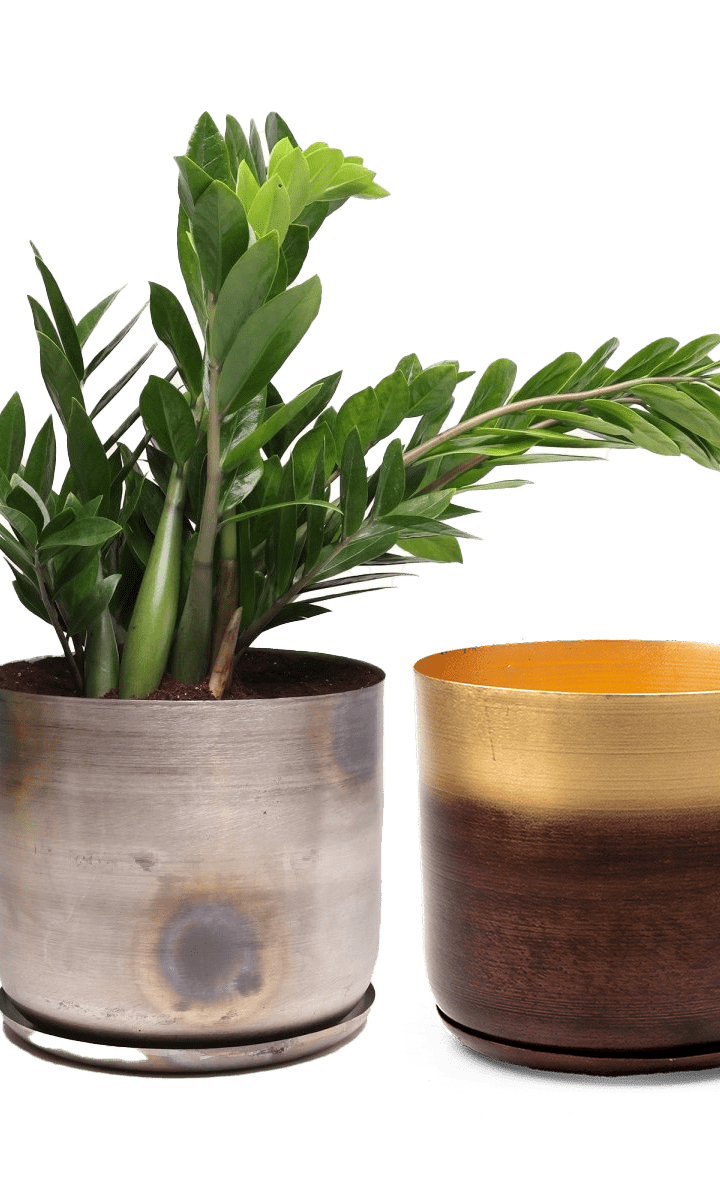 Joe Metal Pot With Drainage Hole | 7, 8, 10 & 12 inches - Chive Ceramics Studio - Pots - Chive Ceramics Studio