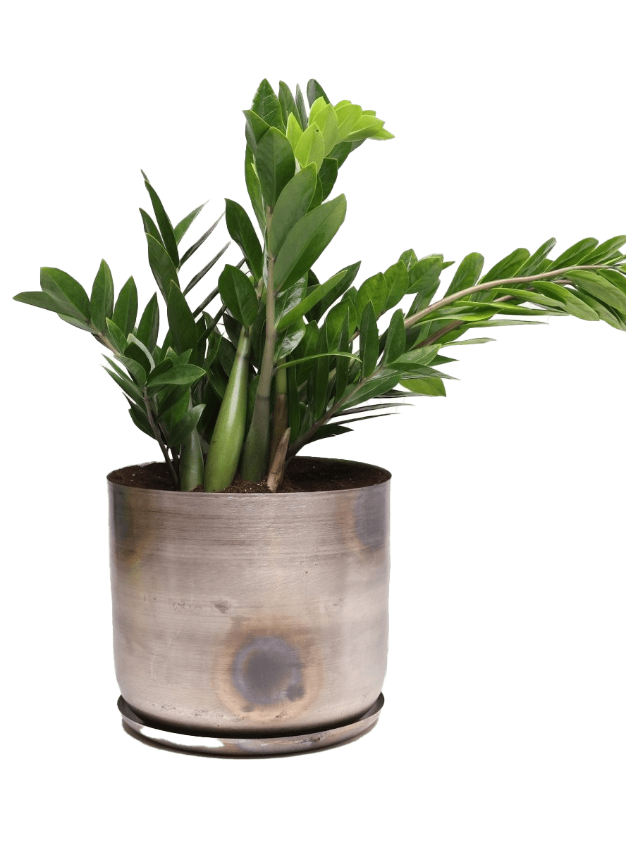 Joe Metal Pot With Drainage Hole | 7, 8, 10 & 12 inches - Chive Ceramics Studio - Pots - Chive Ceramics Studio