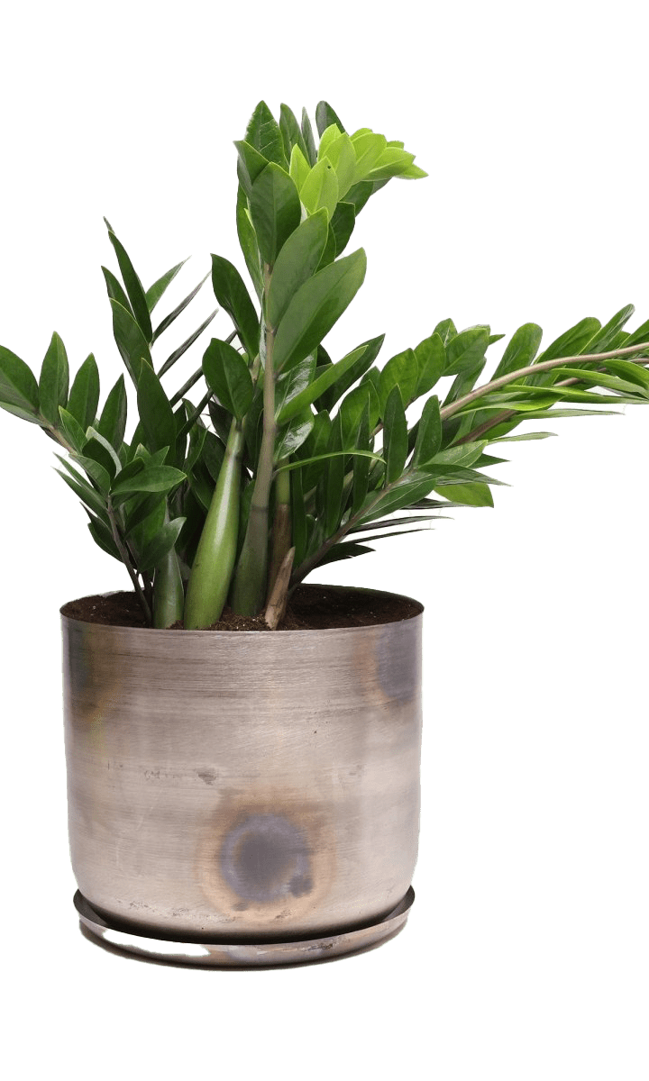 Joe Metal Pot With Drainage Hole | 7, 8, 10 & 12 inches - Chive Ceramics Studio - Pots - Chive Ceramics Studio