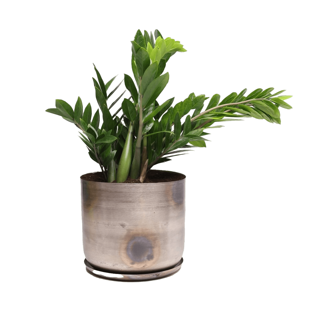 Joe Metal Pot With Drainage Hole | 7, 8, 10 & 12 inches - Chive Ceramics Studio - Pots - Chive Ceramics Studio