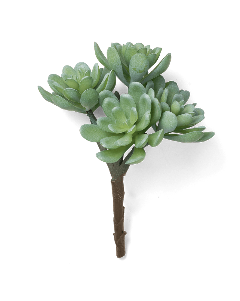 Premium Artificial Succulents - Lifelike Botanical Decor - Chive Ceramics Studio - Chive US Wholesale