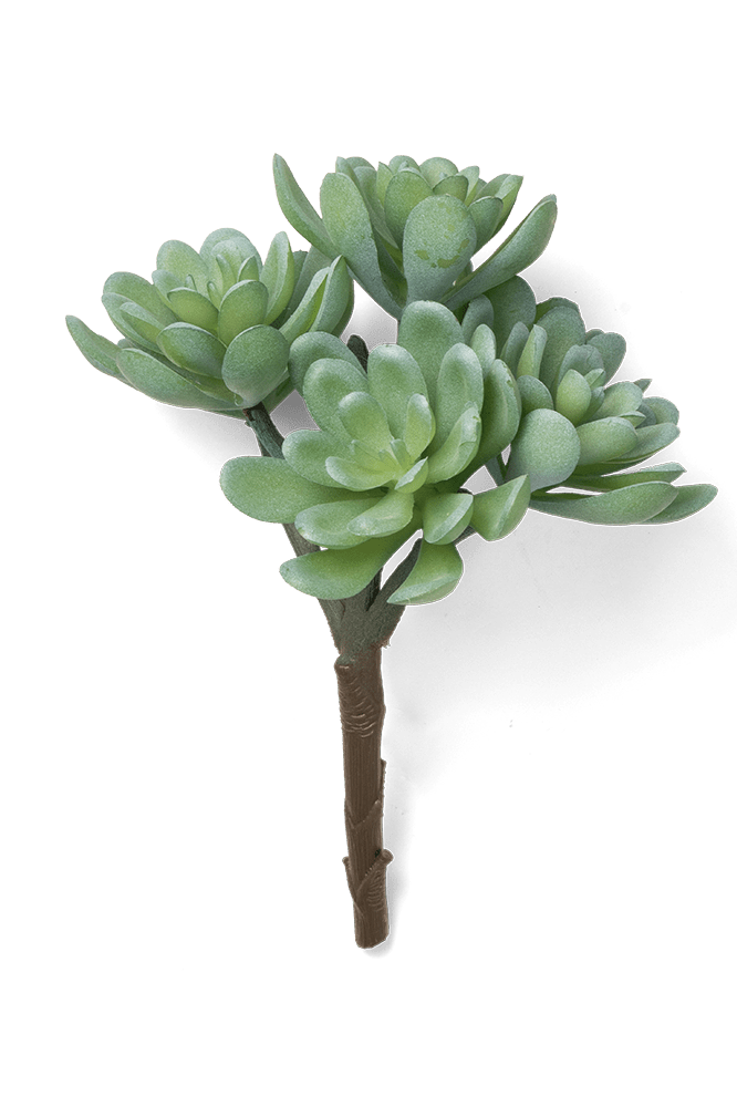 Premium Artificial Succulents - Lifelike Botanical Decor - Chive Ceramics Studio - Chive US Wholesale
