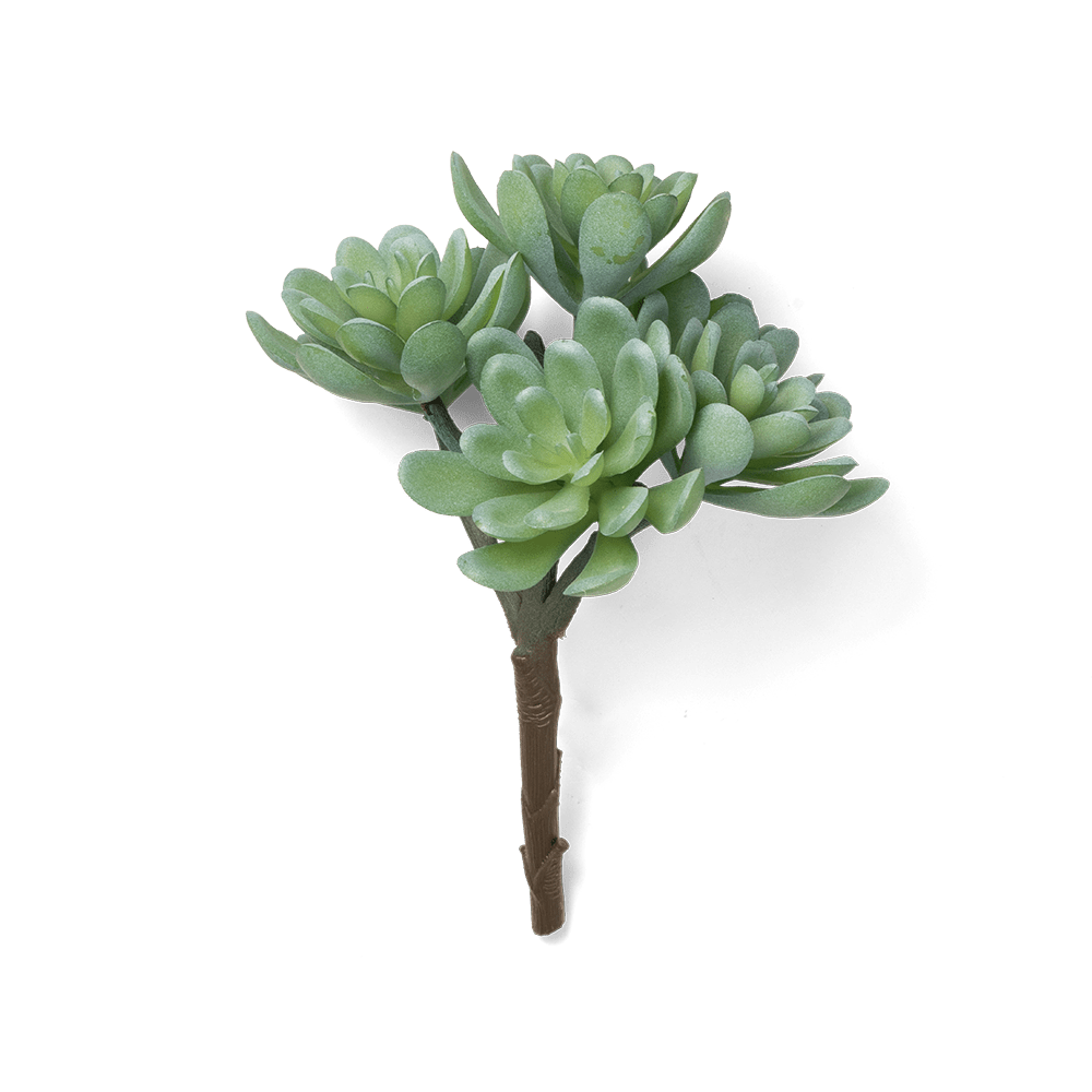 Premium Artificial Succulents - Lifelike Botanical Decor - Chive Ceramics Studio - Chive US Wholesale