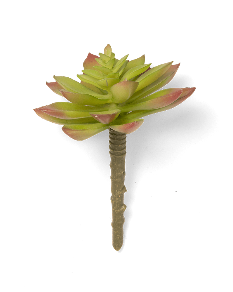 Premium Artificial Succulents - Lifelike Botanical Decor - Chive Ceramics Studio - Chive US Wholesale