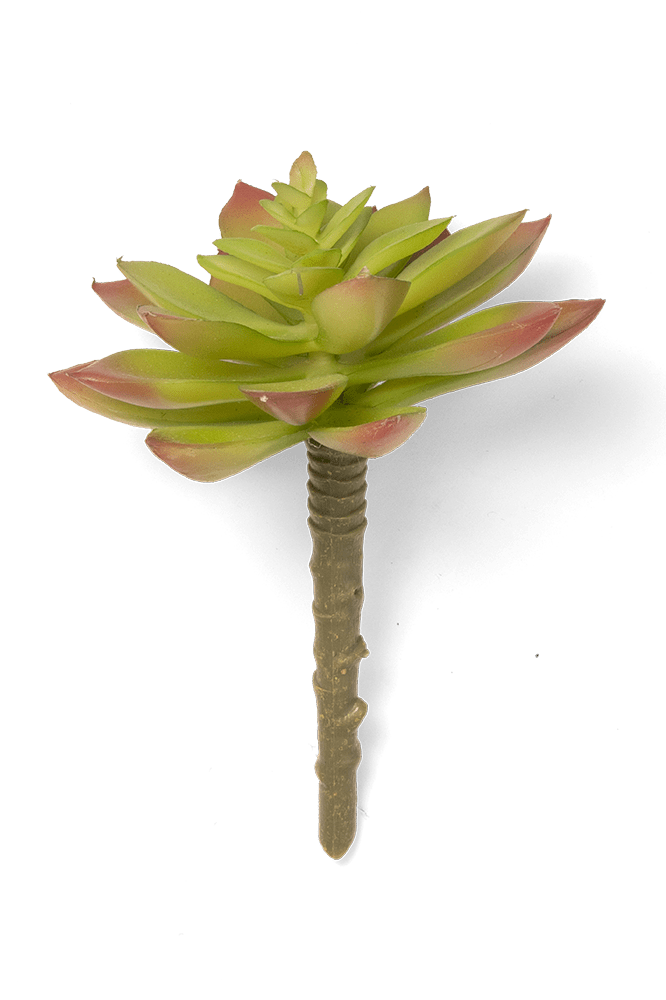 Premium Artificial Succulents - Lifelike Botanical Decor - Chive Ceramics Studio - Chive US Wholesale