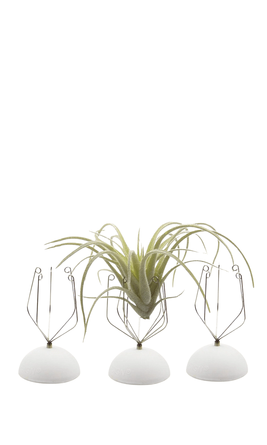 White Air Plant Holder Wall Glass - handmade by Chive Studio Toronto