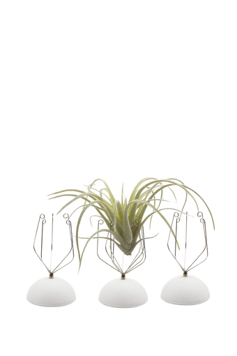 White Air Plant Holder Wall Glass - handmade by Chive Studio Toronto