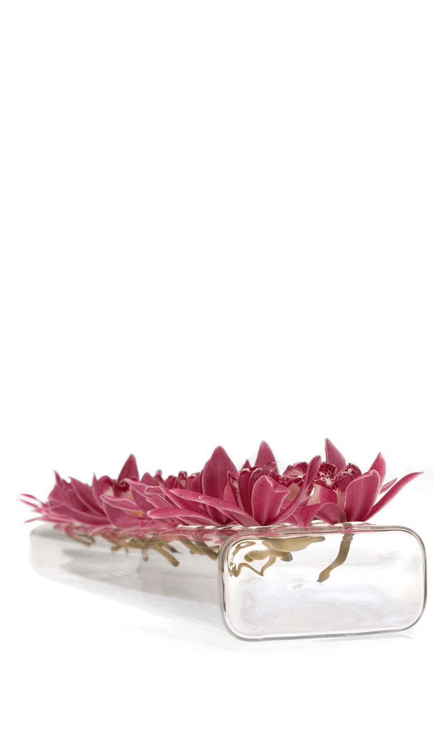 Clear Glass Modern Clear Flower Case - Rectangle Flute - handmade by Chive Studio Toronto