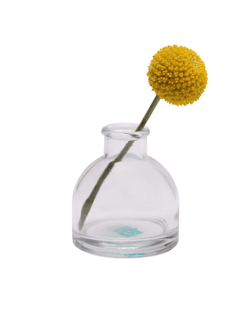 Chive Loft round glass bud vase in clear glass styled with a single yellow billy ball bloom.