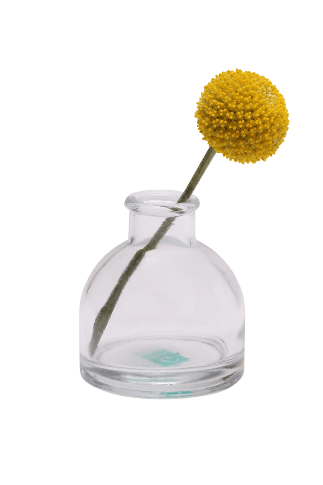 Chive Loft round glass bud vase in clear glass styled with a single yellow billy ball bloom.