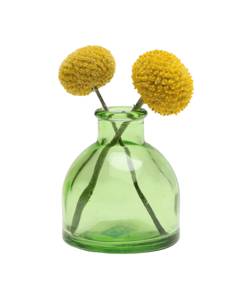 Chive Loft round glass bud vase in green holding two yellow billy ball blooms, crossed at the stems.