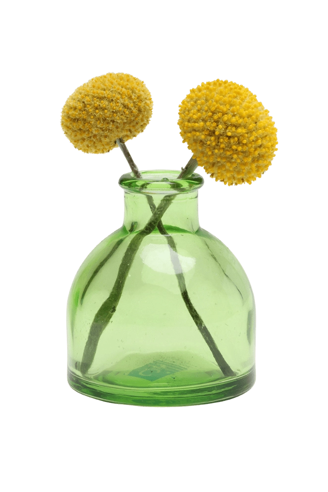 Chive Loft round glass bud vase in green holding two yellow billy ball blooms, crossed at the stems.