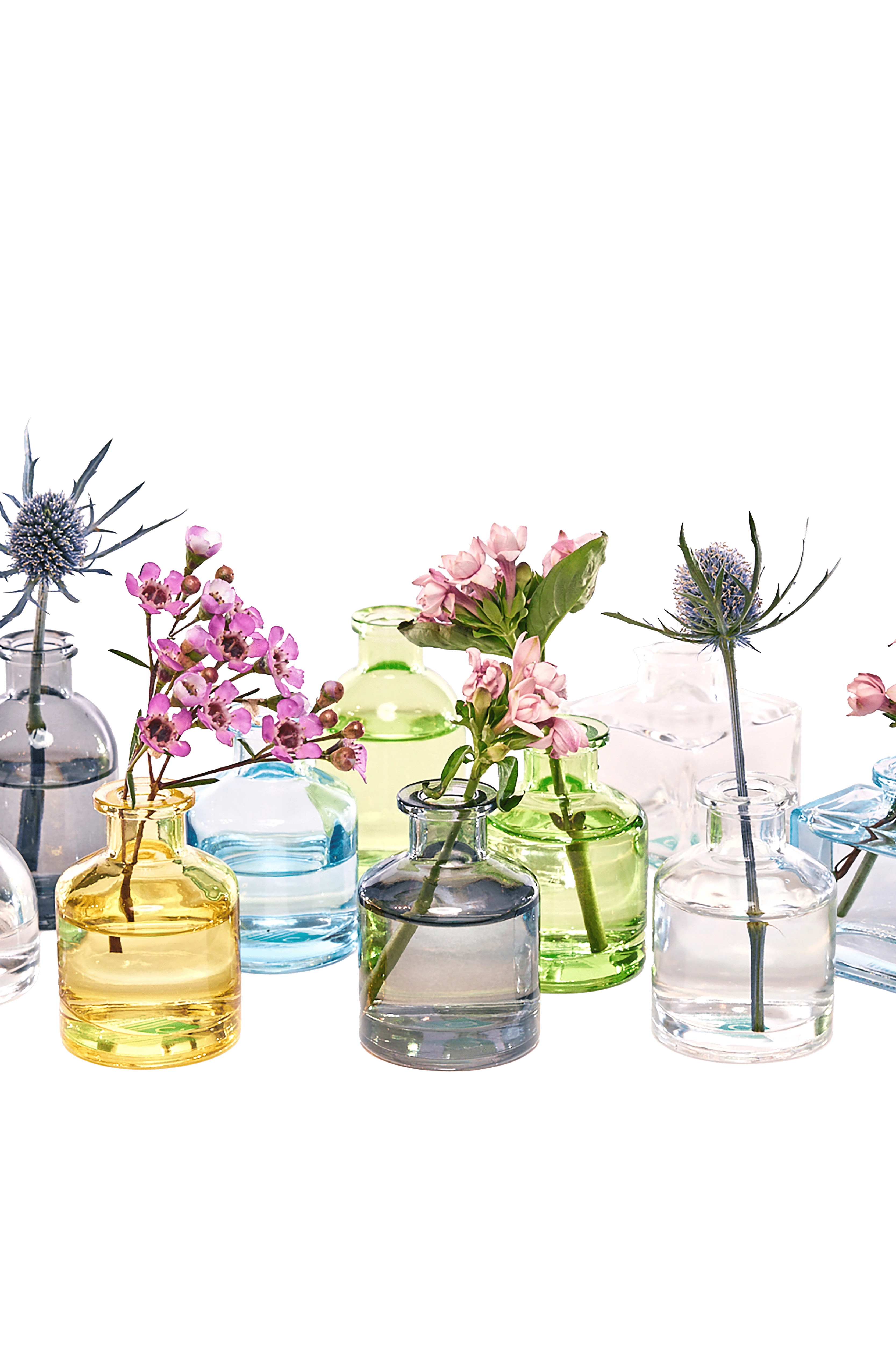 Chive Loft glass bud vase collection mixes clear, amber, sage, and blue jars in round and square shapes.