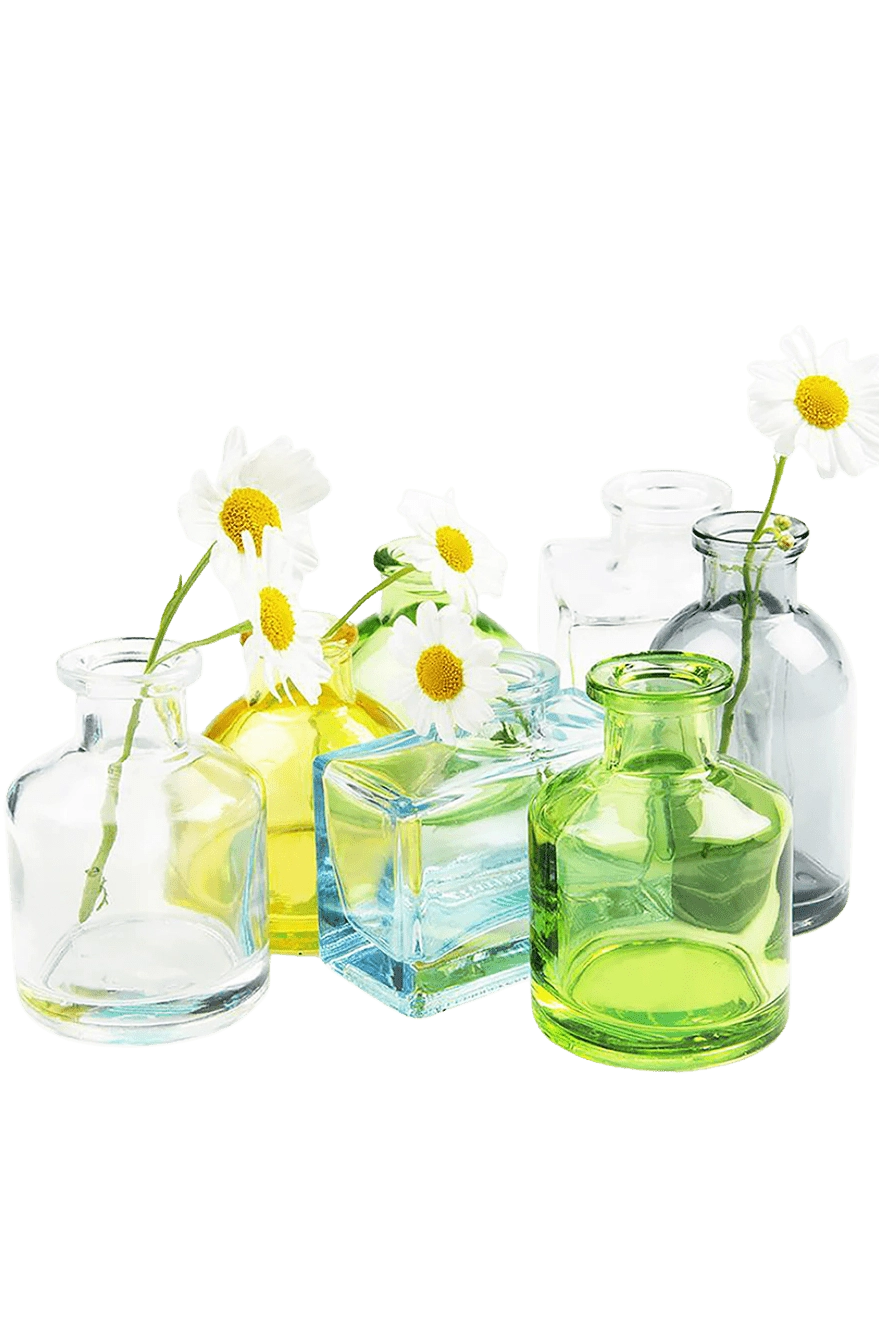 Chive Loft glass bud vase collection mixes clear, yellow, blue, and green jars with white daisies.
