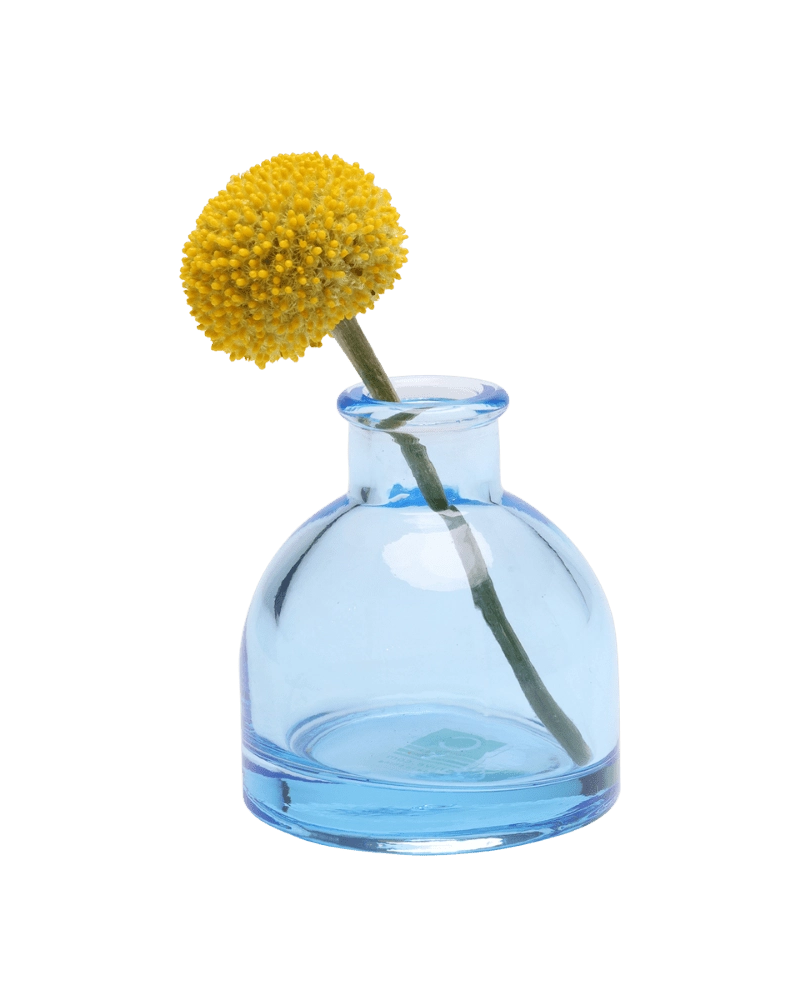 Chive Loft round glass bud vase in light blue styled with a single yellow billy ball bloom.