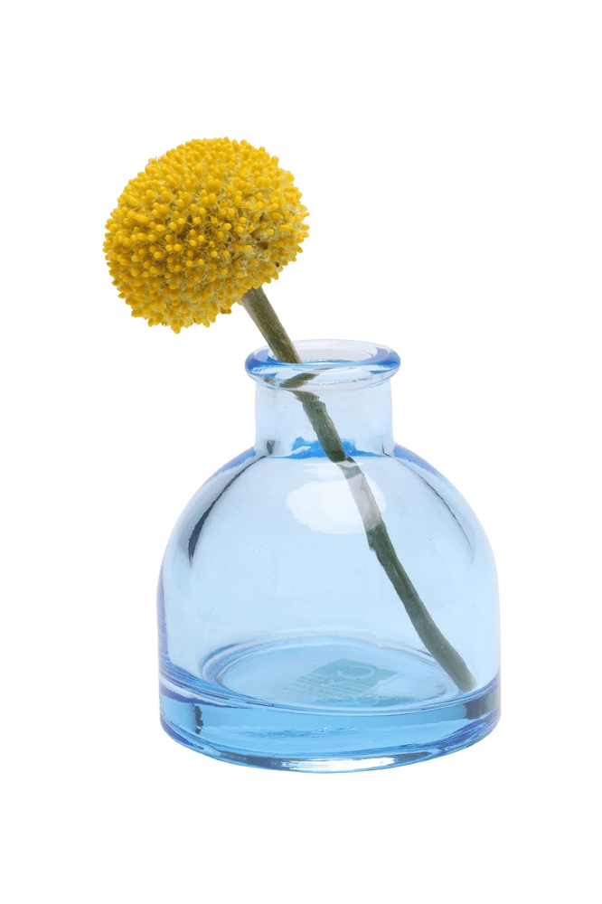 Chive Loft round glass bud vase in light blue styled with a single yellow billy ball bloom.